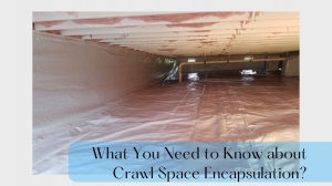 What You Need to Know about Crawl Space Encapsulation?